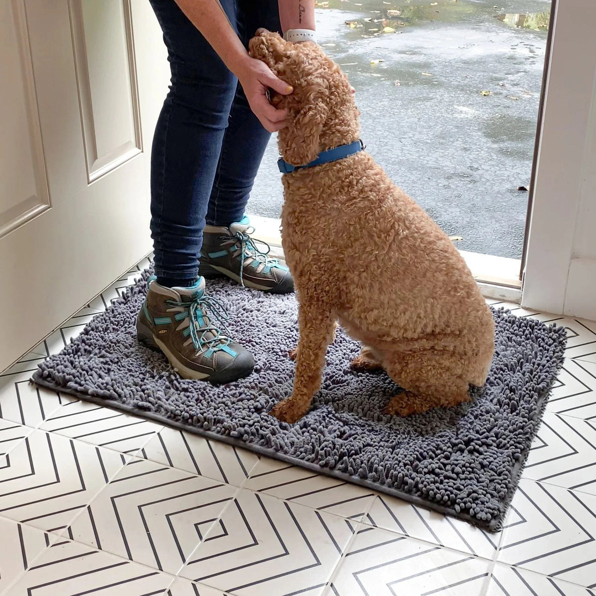 Dog Mat Absorbent Non-Slip Surface for Muddy Paws