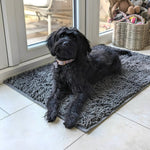 Dog Mat Absorbent Non-Slip Surface for Muddy Paws