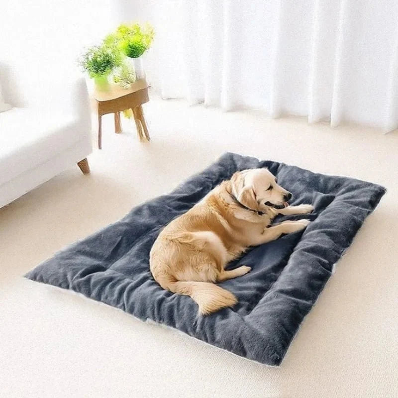 Dog Mat Thick Plush Cushioned Easy-Care 47.2 x 23.6 In