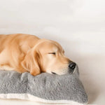 Dog Mat Thick Plush Cushioned Easy-Care 47.2 x 23.6 In