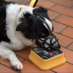 Dog Muzzle Adjustable Breathable Anti-Bite & Anti-Bark
