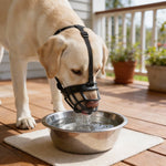 Dog Muzzle Anti-Bite Breathable Mesh Adjustable Straps