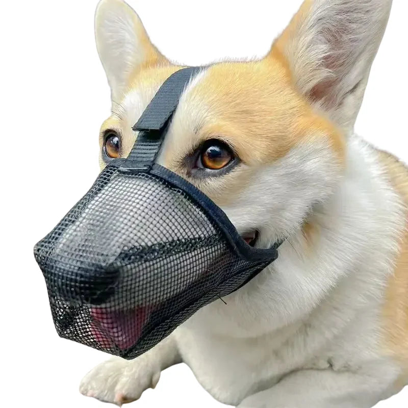 Dog Muzzle Breathable Mesh Adjustable Straps & Quick-Release Buckle