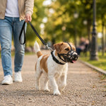 Dog Muzzle Breathable TPE Reflective Strap