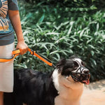 Dog Muzzle Soft Breathable Lightweight Comfort