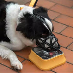 Dog Muzzle Soft Breathable Lightweight Comfort