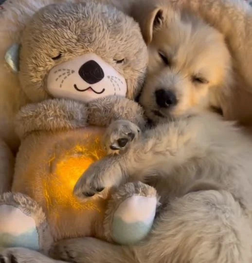 Dog Plush Toy Realistic Breathing Motion & Gentle Sounds