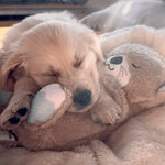 Dog Plush Toy Realistic Breathing Motion & Gentle Sounds