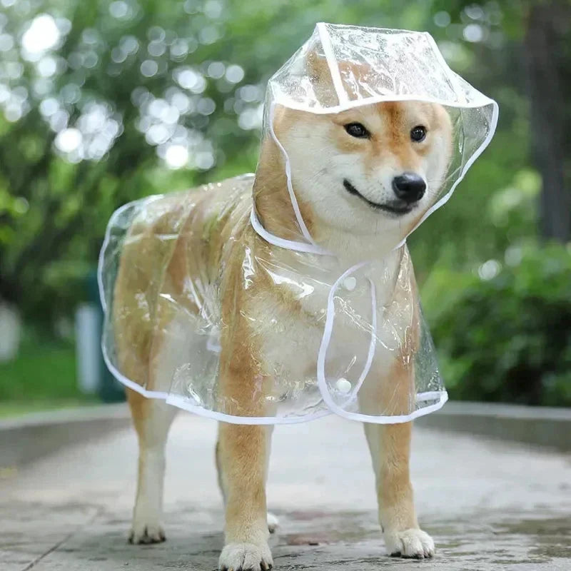 Dog Raincoat Transparent Waterproof Attached Hood