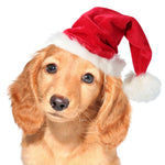 Dog Santa Hat Plush Adjustable Strap