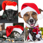 Dog Santa Hat Plush Soft-Lined Adjustable Fit