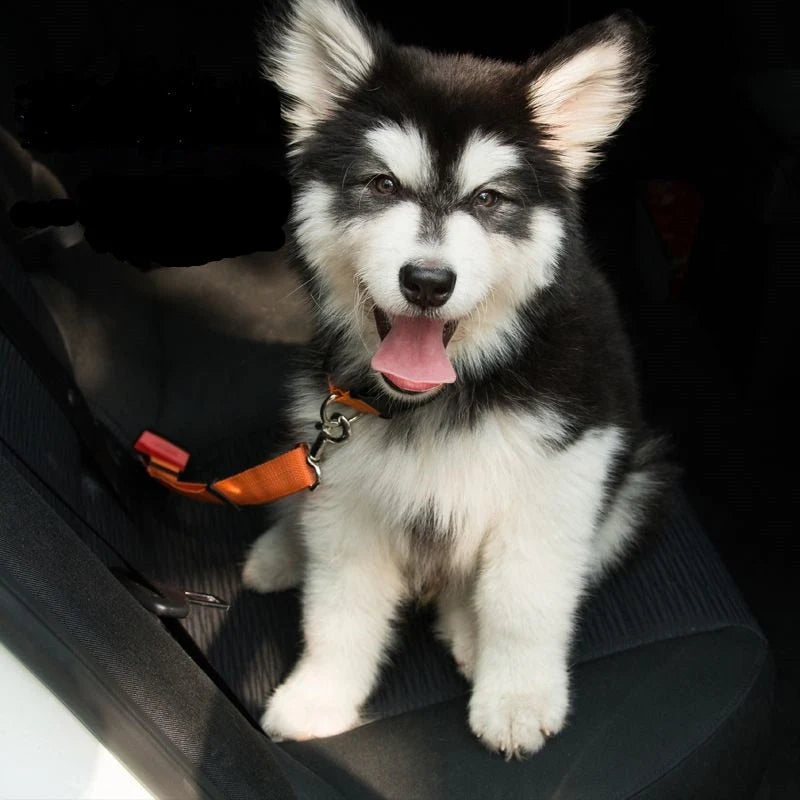 Dog Seatbelt Adjustable Nylon Quick Release