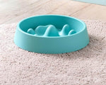 Dog Slow Feeder Bowl Raised Dividers 2-Cup Capacity