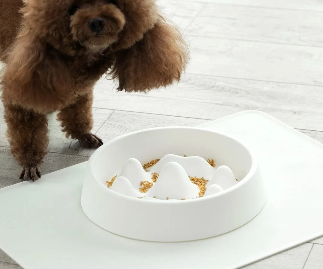 Dog Slow Feeder Bowl Raised Dividers 2-Cup Capacity