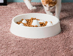 Dog Slow Feeder Bowl Raised Dividers 2-Cup Capacity