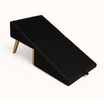 Dog Steps Foldable Foam Non-Slip Base