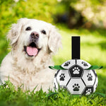 Dog Toy Ball Bouncing Buoyant Training Strap