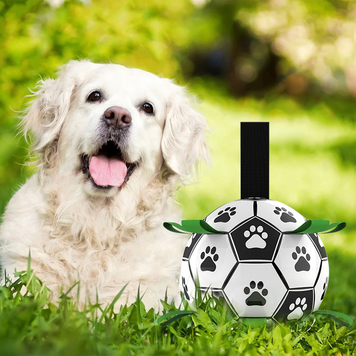 Dog Toy Ball Bouncing Buoyant Training Strap