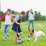 Dog Toy Ball Bouncing Buoyant Training Strap