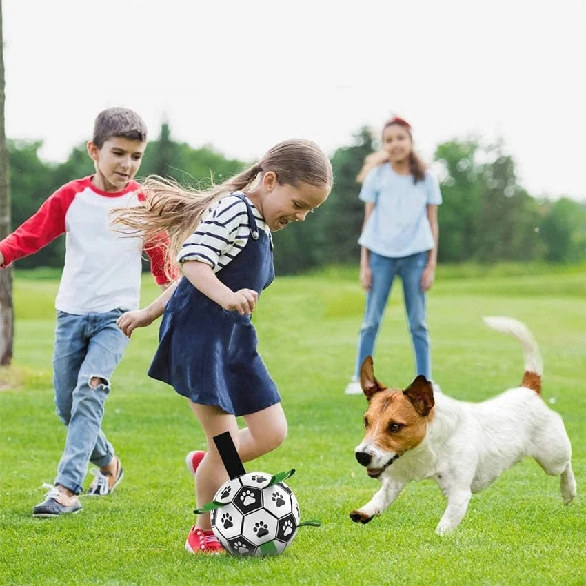 Dog Toy Ball Bouncing Buoyant Training Strap