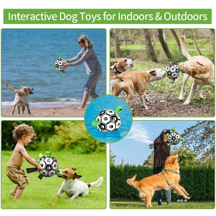 Dog Toy Ball Bouncing Buoyant Training Strap