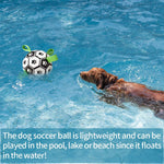 Dog Toy Ball Bouncing Buoyant Training Strap