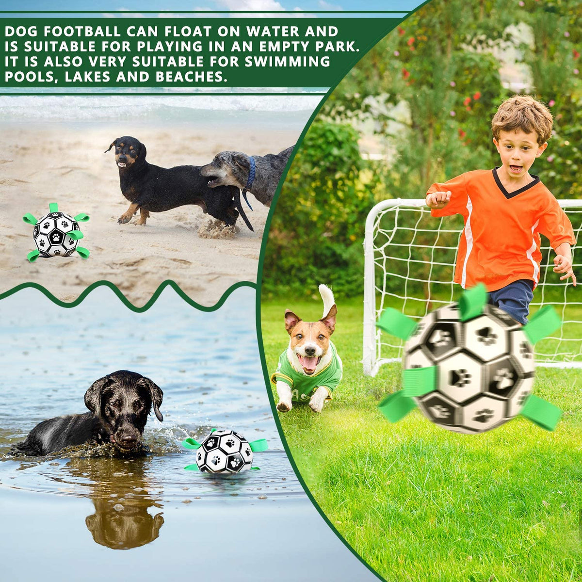 Dog Toy Ball Bouncing Buoyant Training Strap