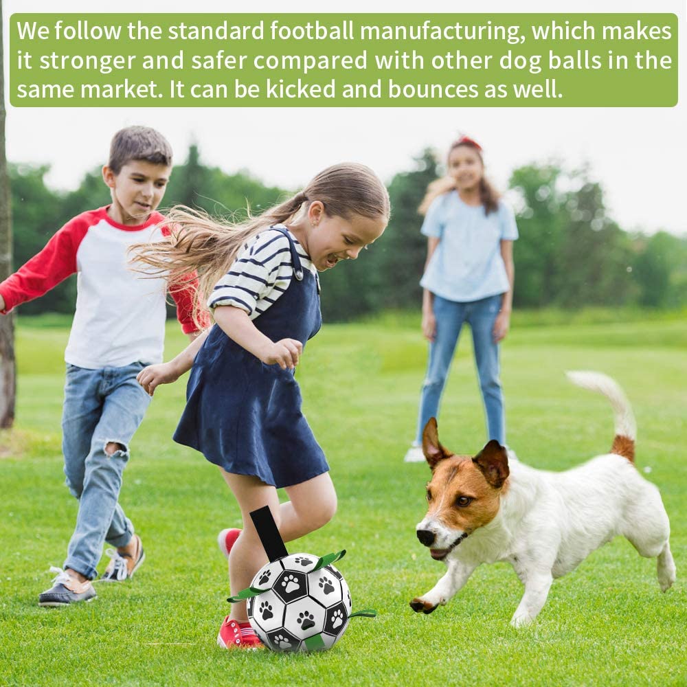 Dog Toy Ball Bouncing Buoyant Training Strap