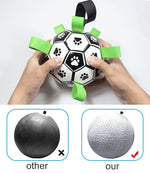Dog Toy Ball Bouncing Buoyant Training Strap
