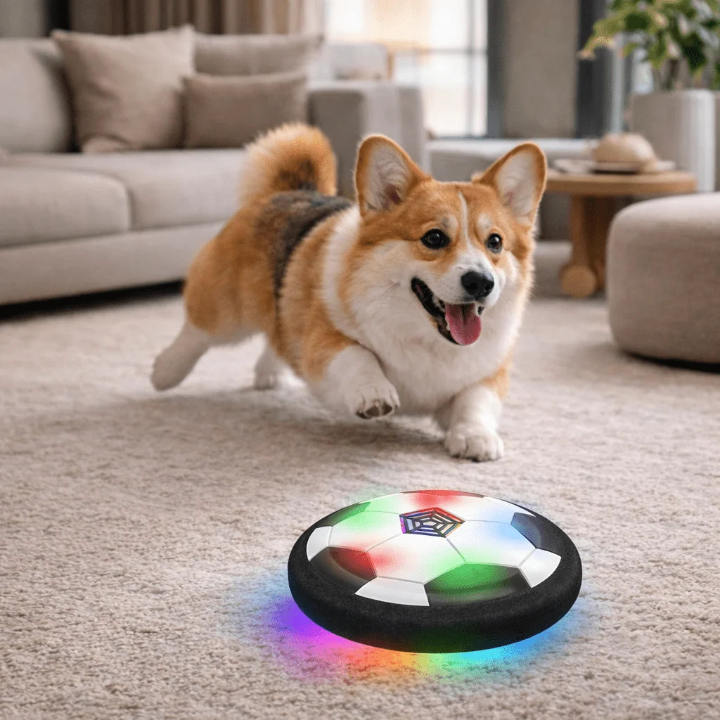 Dog Toy Interactive Ball Random Bounce Indoor & Outdoor
