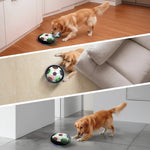 Dog Toy Interactive Ball Random Bounce Indoor & Outdoor