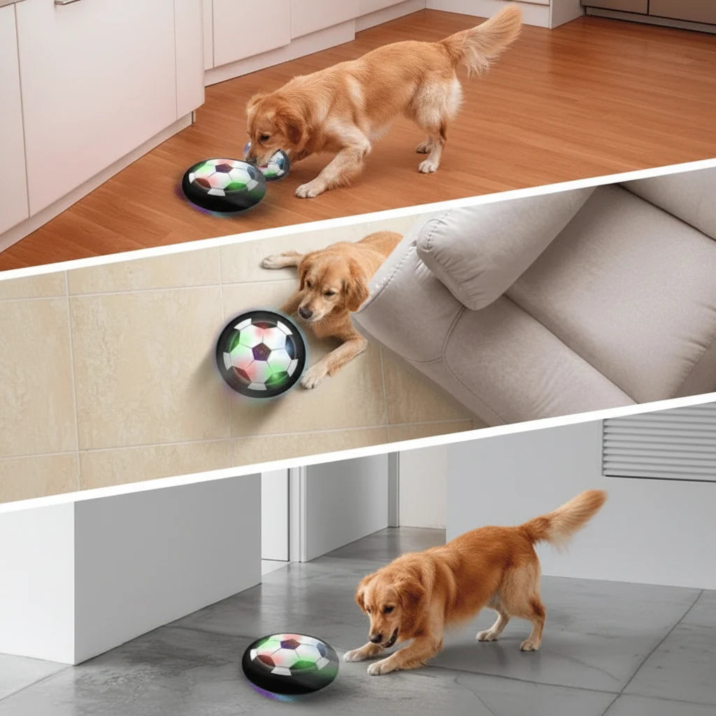 Dog Toy Interactive Ball Random Bounce Indoor & Outdoor