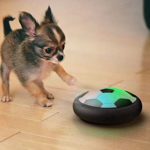 Dog Toy Interactive Ball Random Bounce Indoor & Outdoor