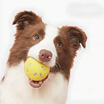 Dog Toy Interactive & Calming High-Bounce Floating 3-Pack
