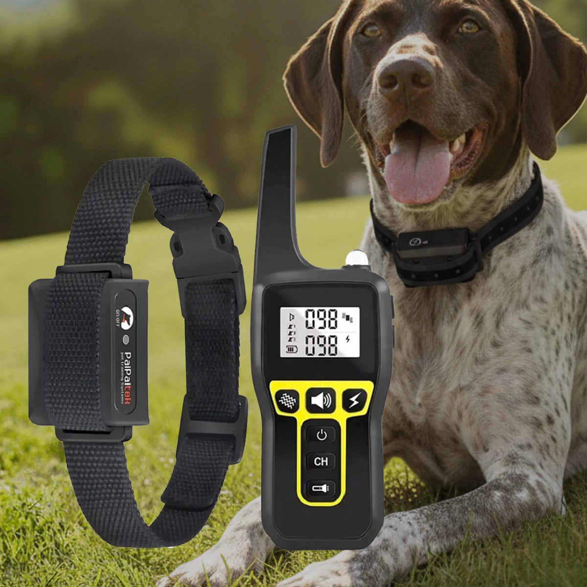 Dog Training Collar 1000m Long-Range Waterproof & Rechargeable