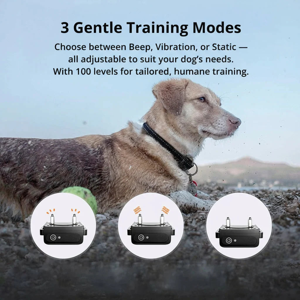 Dog Training Collar 1000m Long-Range Waterproof & Rechargeable
