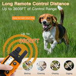 Dog Training Collar Long-Range Remote Three Modes Waterproof