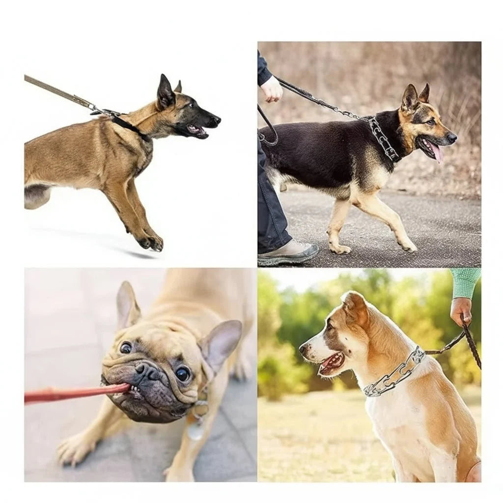 Dog Training Collar Stainless Steel Nylon-Covered Adjustable Fit