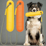 Dog Training Toy Floating Rope 2-Pack