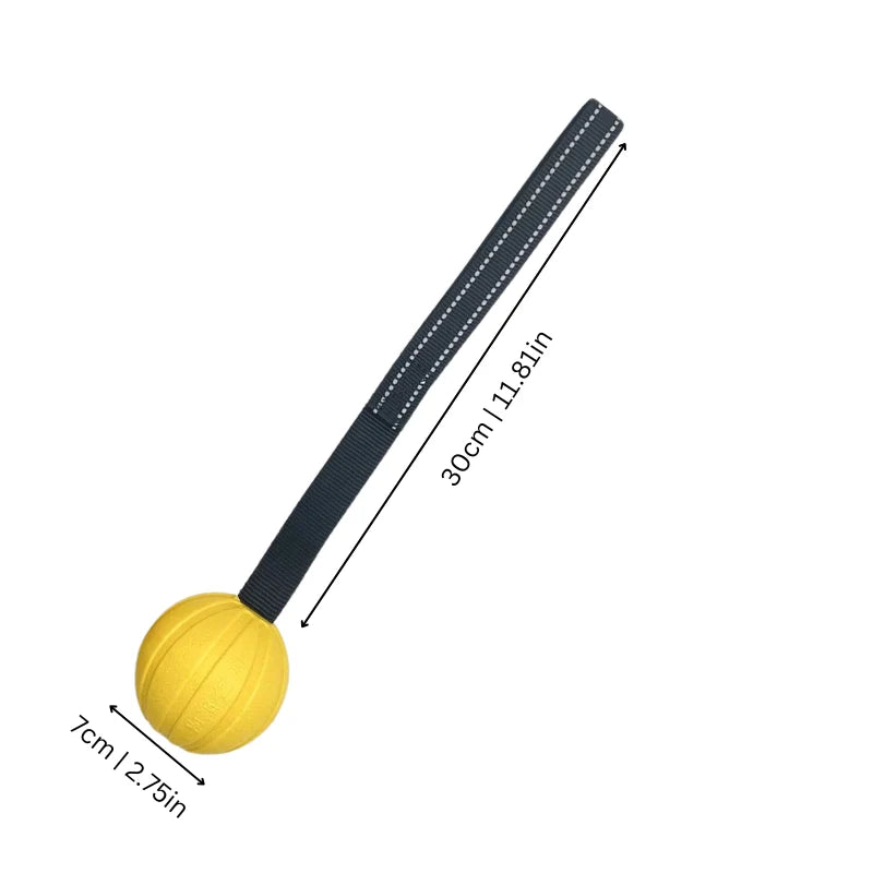Dog Tug Toy Textured Chew Ball & Durable Rope