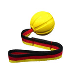 Dog Tug Toy Textured Chew Ball & Durable Rope