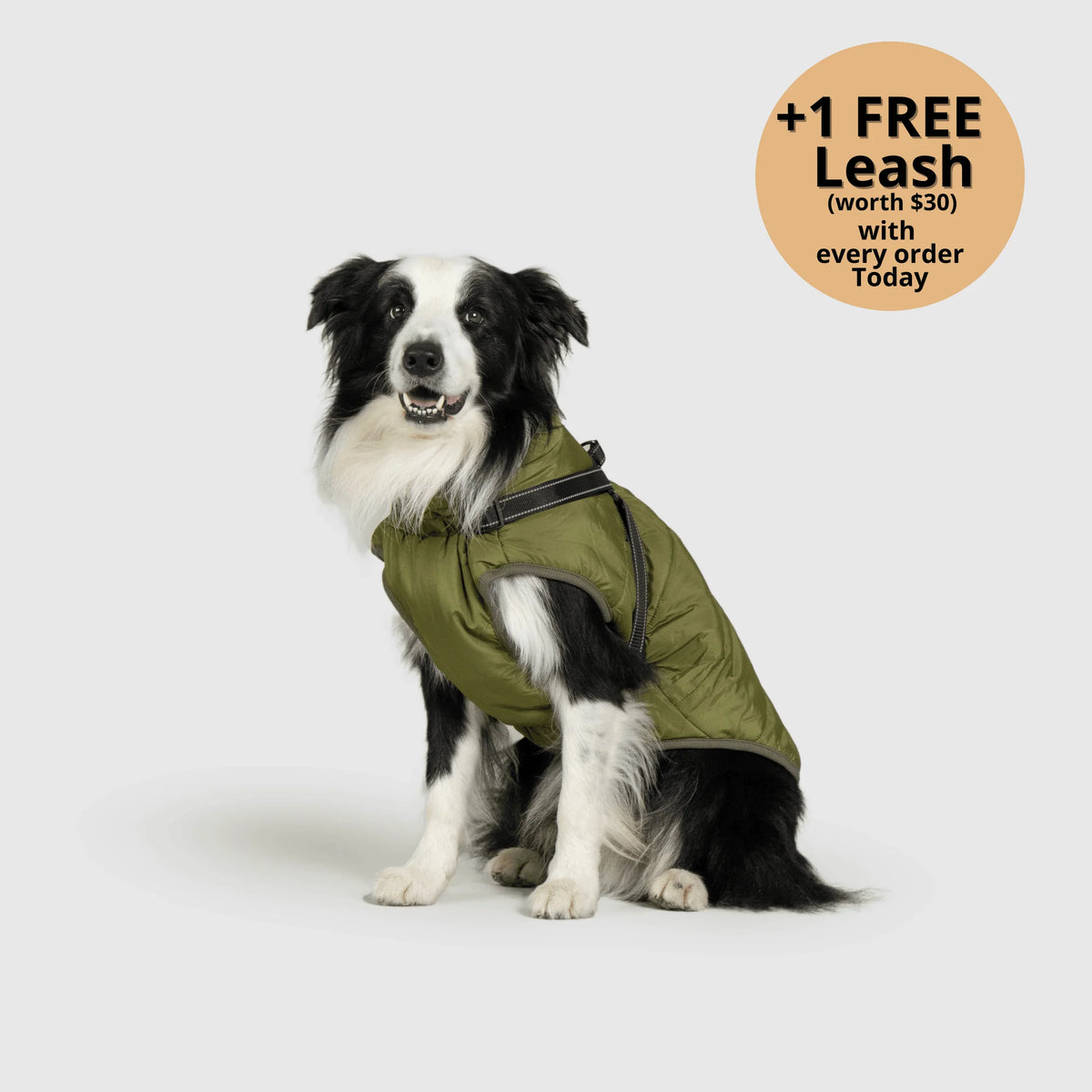 Dog Winter Jacket Built-In Harness Wind & Water-Resistant