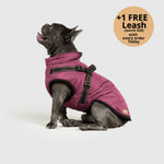Dog Winter Jacket Built-In Harness Wind & Water-Resistant