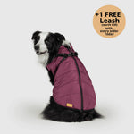 Dog Winter Jacket Built-In Harness Wind & Water-Resistant