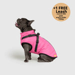 Dog Winter Jacket Built-In Harness Wind & Water-Resistant