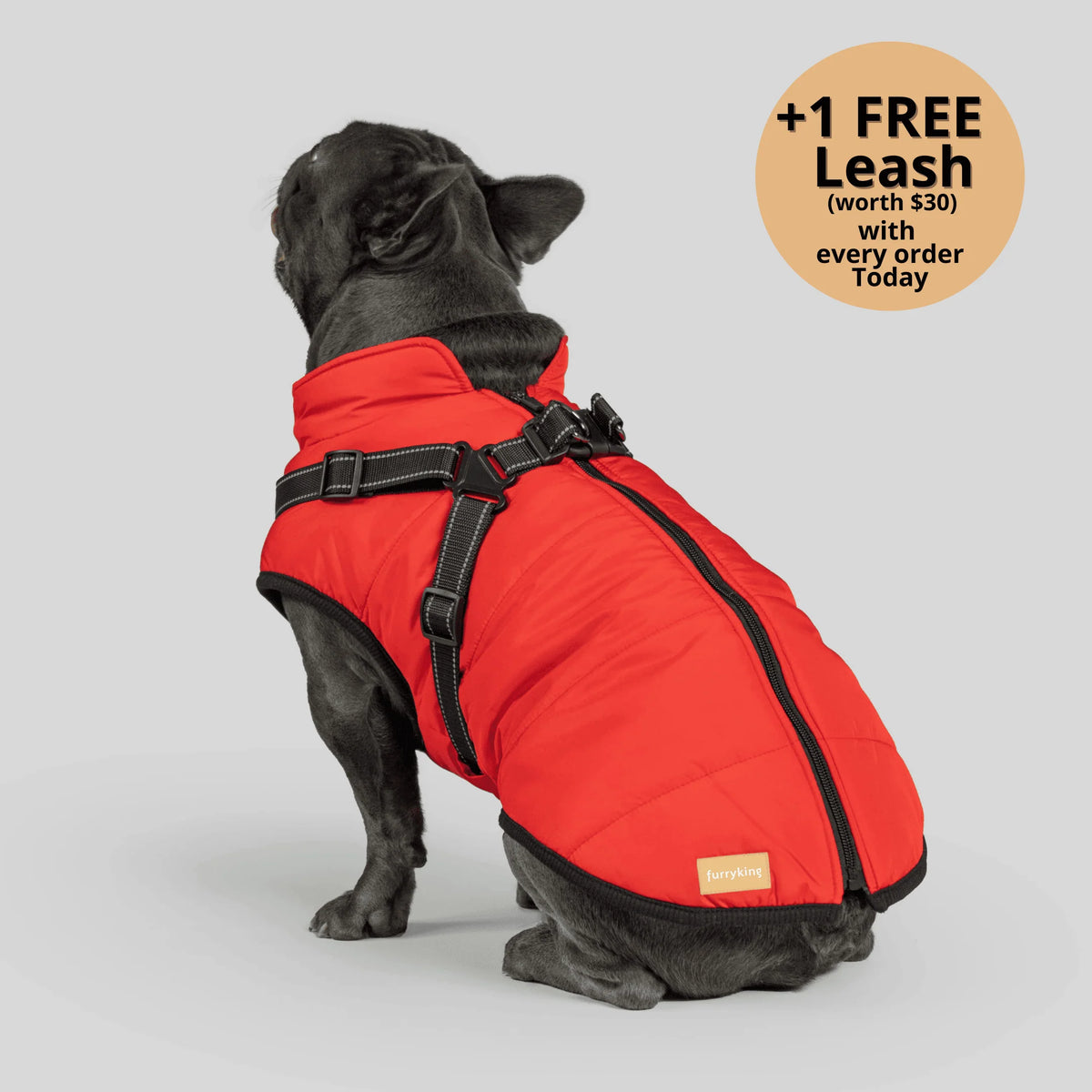 Dog Winter Jacket Built-In Harness Wind & Water-Resistant