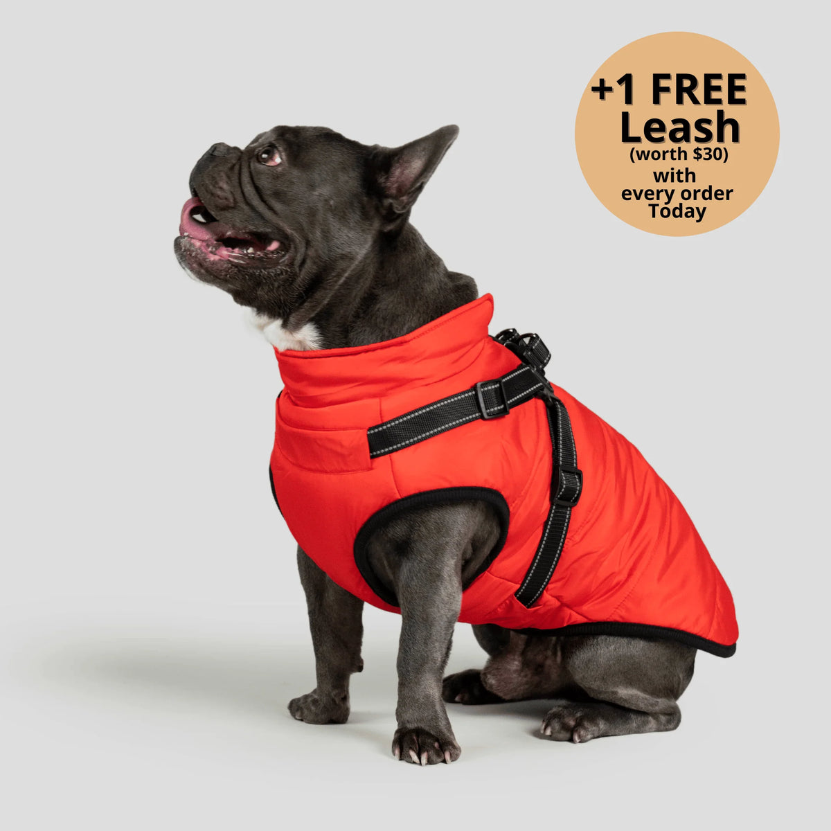 Dog Winter Jacket Built-In Harness Wind & Water-Resistant