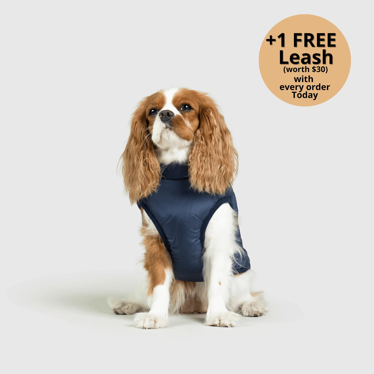 Dog Winter Jacket Built-In Harness Wind & Water-Resistant