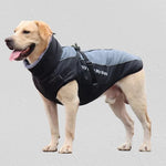 Dog Winter Jacket Water-Resistant Cotton Insulated