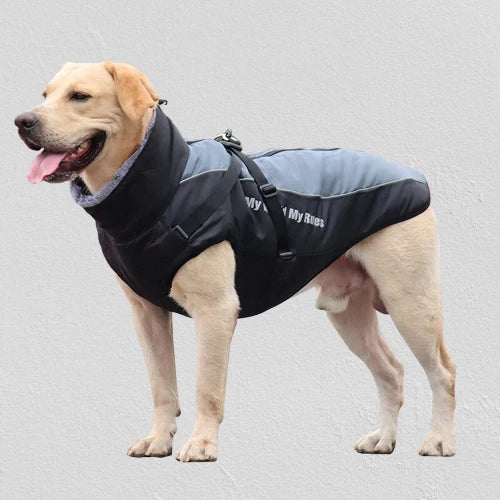 Dog Winter Jacket Water-Resistant Cotton Insulated